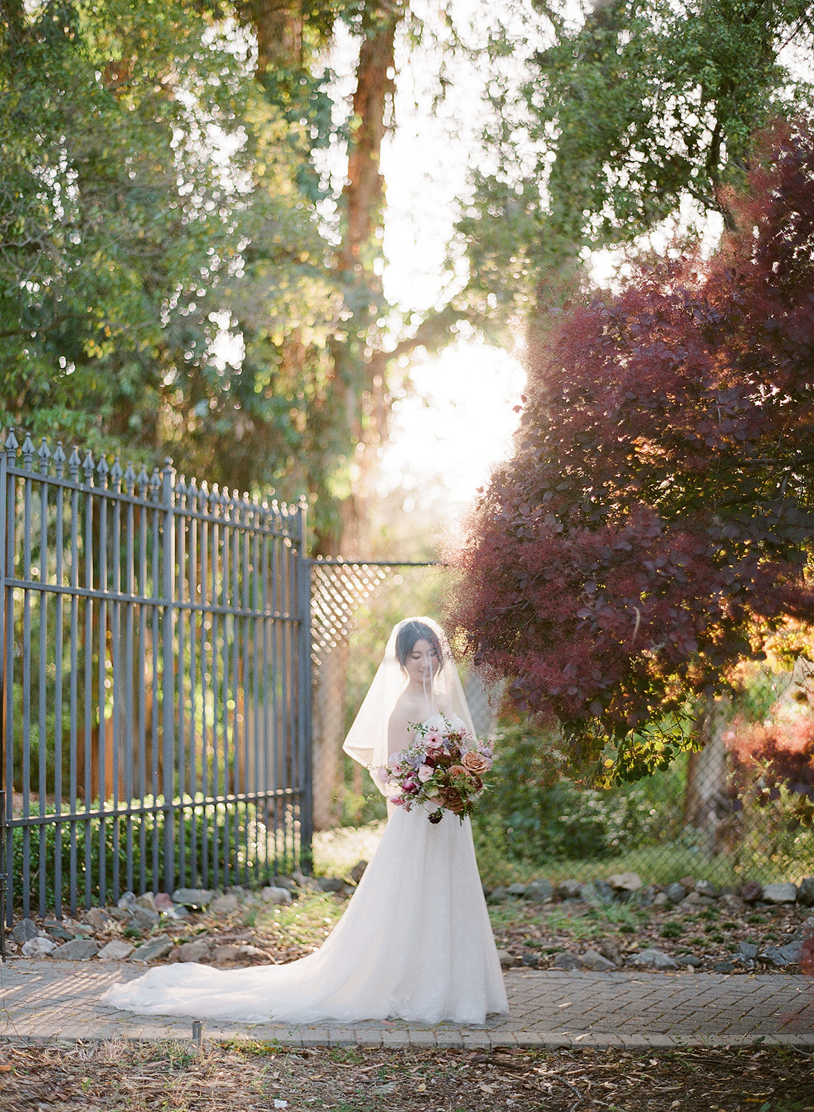 Montalvo Arts Center Wedding A Spring Celebration